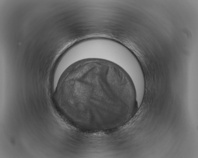 X0000111580112200908131327