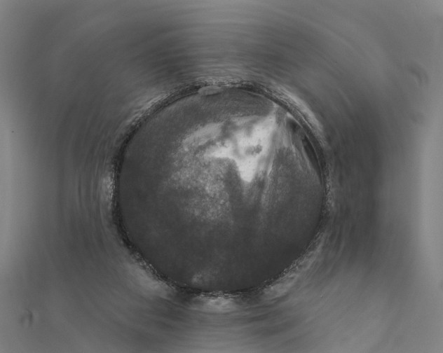 X0000111580113200908131327