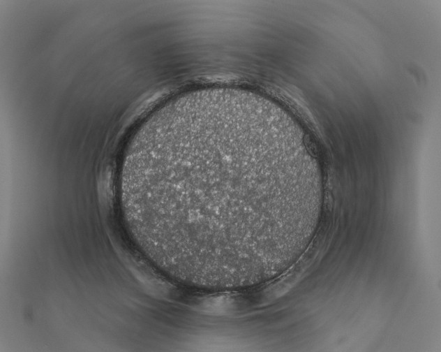 X0000111580116200908131327