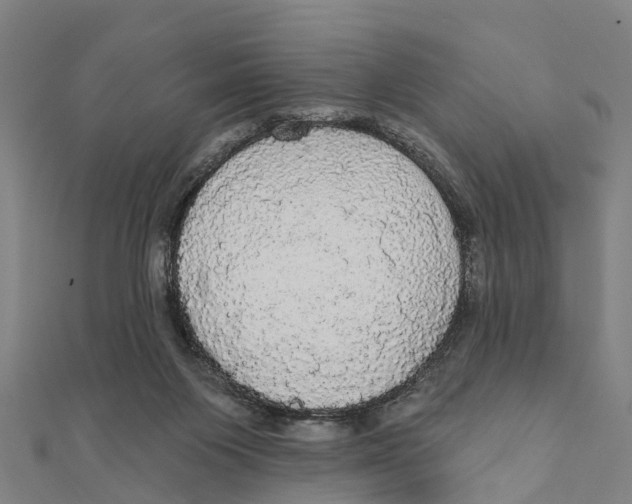 X0000111580119200908131327