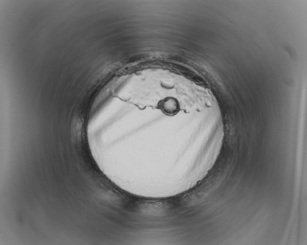 X0000111580123200908131327