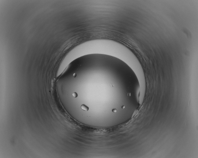 X0000111580124200908131327