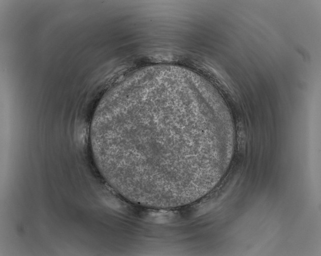 X0000111580125200908131327