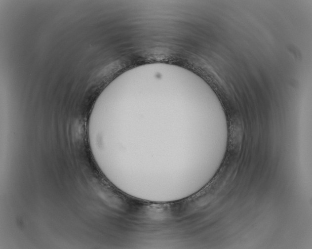 X0000111580126200908131327