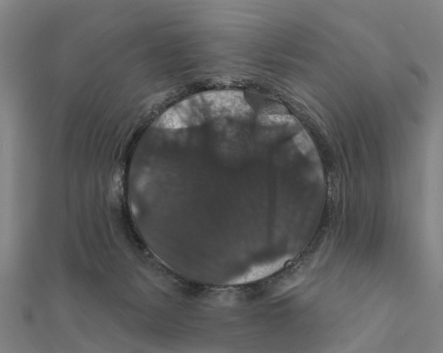 X0000111580127200908131327