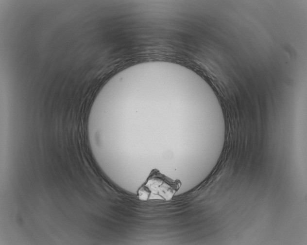 X0000111580129200908131327