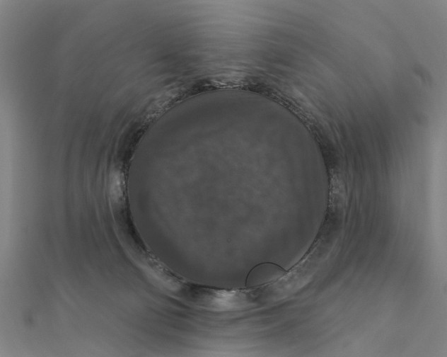 X0000111580130200908131327