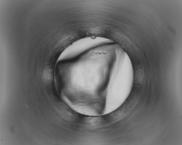 X0000111580135200908131327