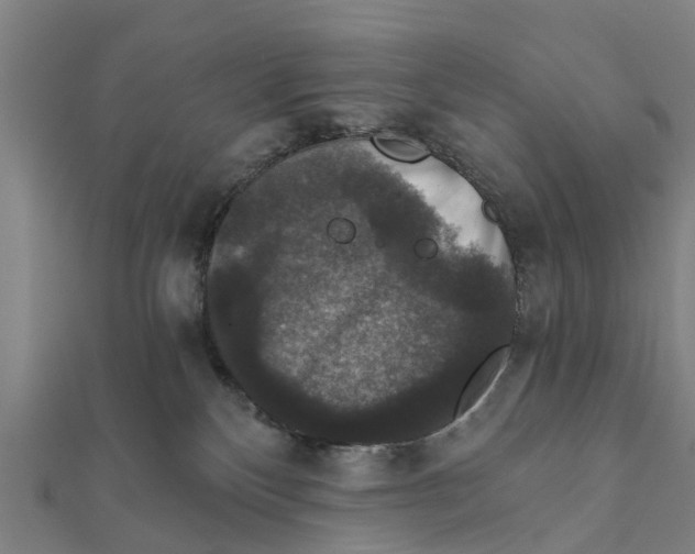 X0000111580136200908131327