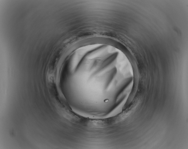 X0000111580137200908131327