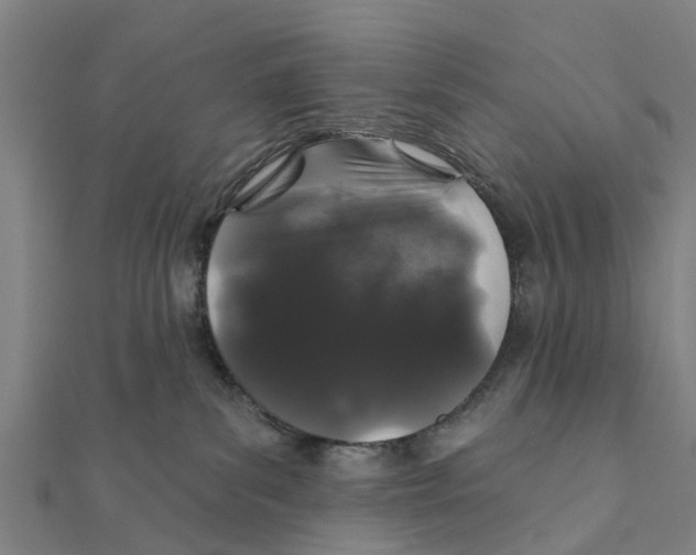 X0000111580139200908131327