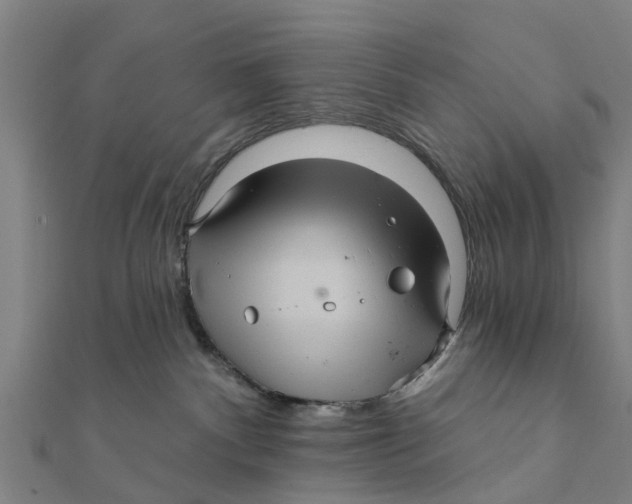 X0000111580140200908131327