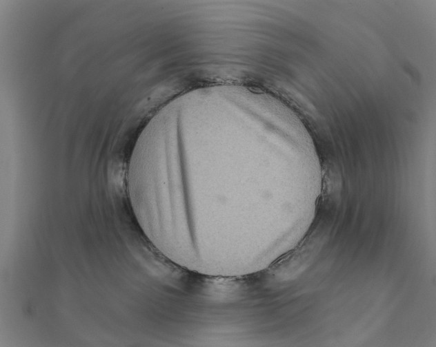 X0000111580141200908131327