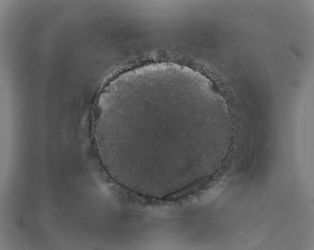 X0000111580144200908131327