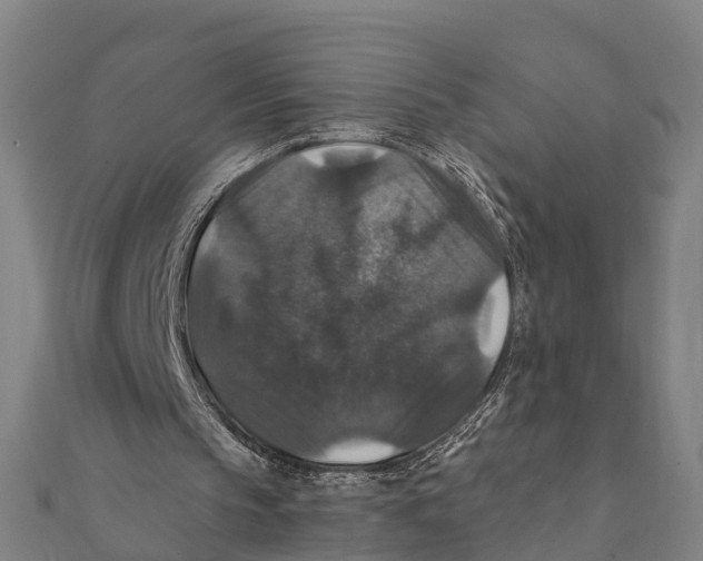 X0000111580145200908131326