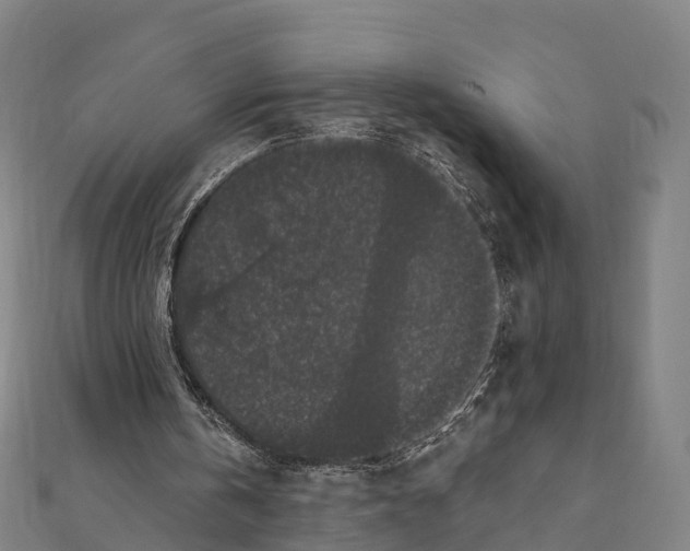 X0000111580146200908131326