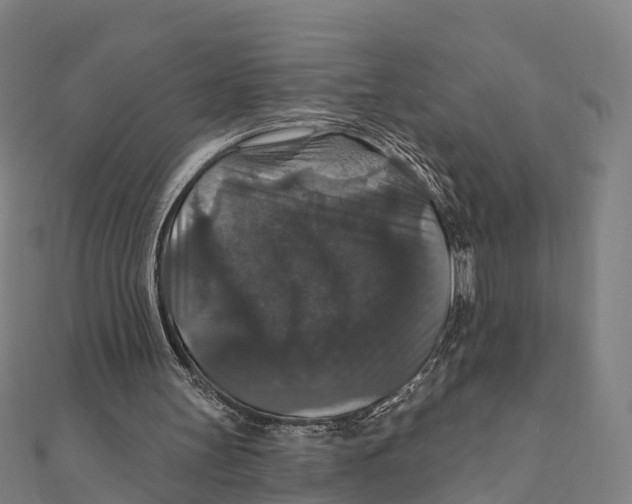 X0000111580147200908131326