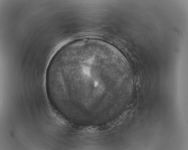 X0000111580148200908131326