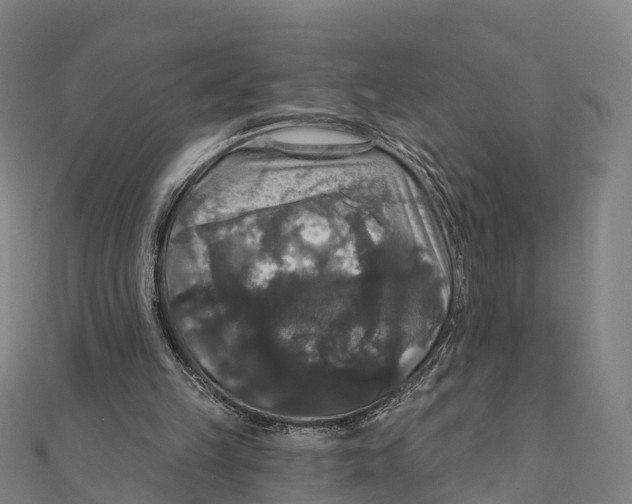 X0000111580149200908131326