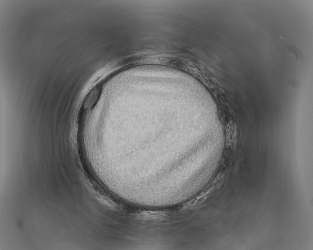 X0000111580150200908131326