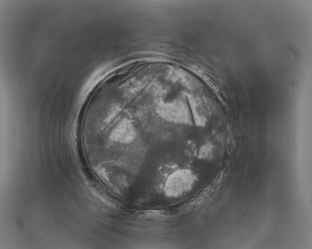 X0000111580151200908131326