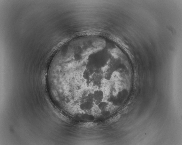 X0000111580153200908131326