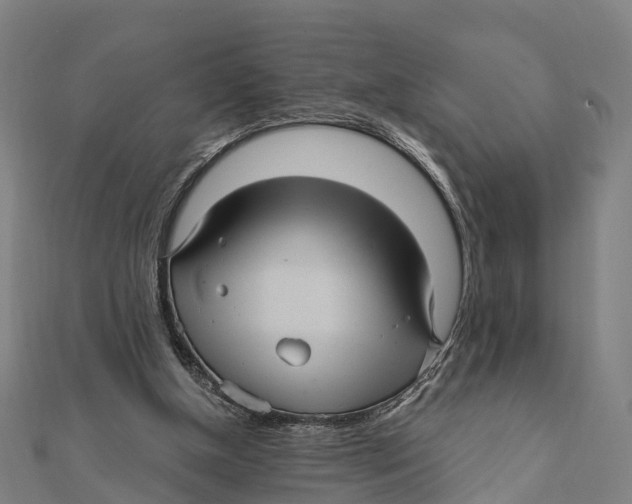 X0000111580154200908131326