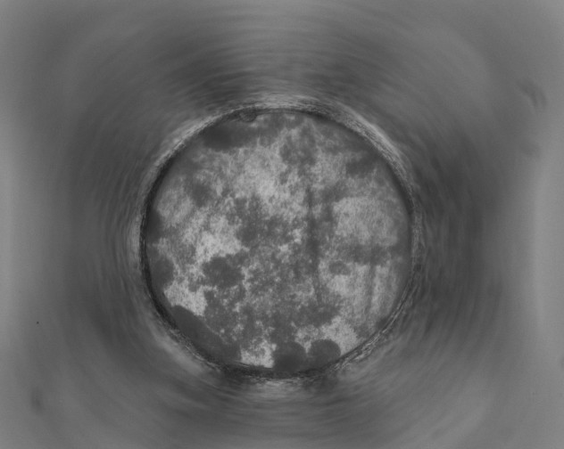 X0000111580155200908131326