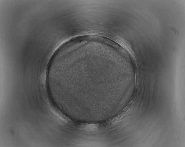 X0000111580156200908131326