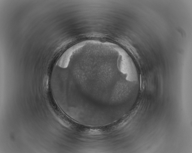 X0000111580157200908131326