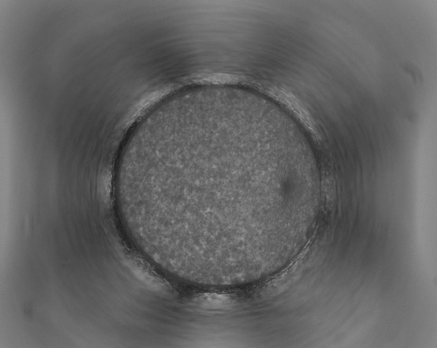 X0000111580159200908131326