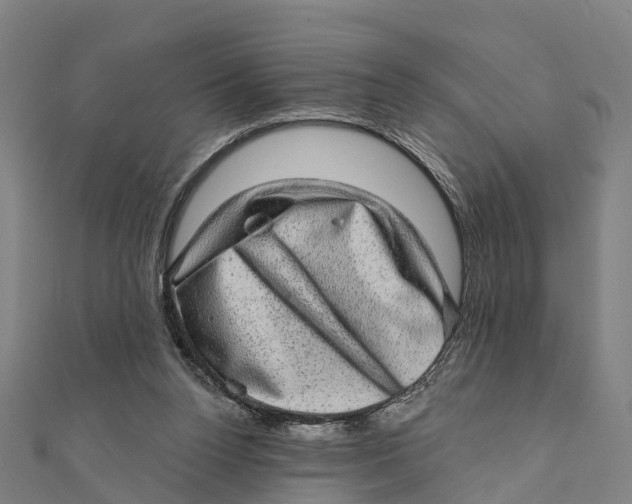 X0000111580160200908131326