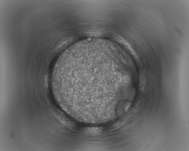 X0000111580161200908131326