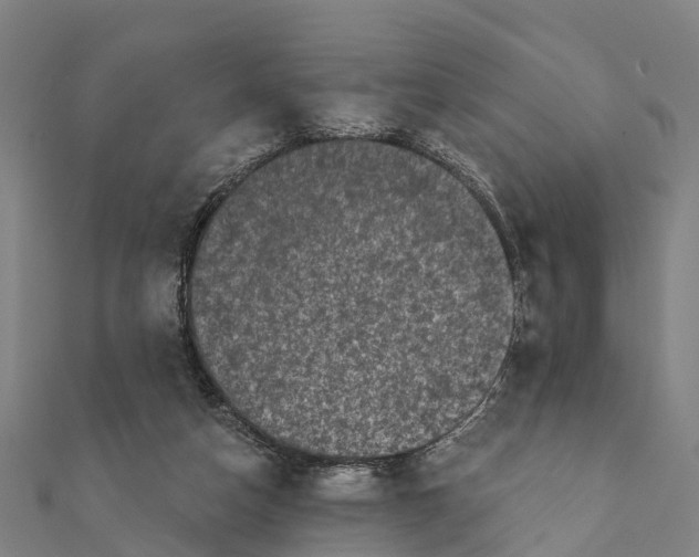 X0000111580162200908131326