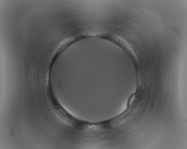 X0000111580163200908131326