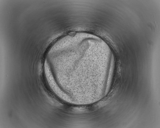 X0000111580164200908131326