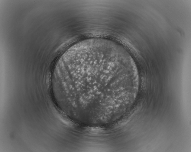 X0000111580165200908131326