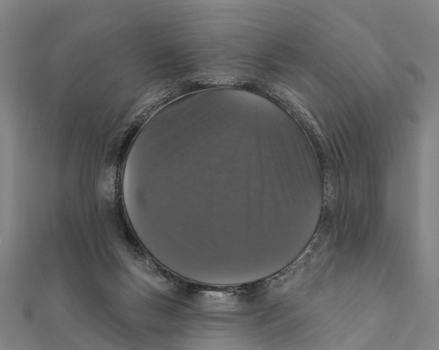 X0000111580167200908131326