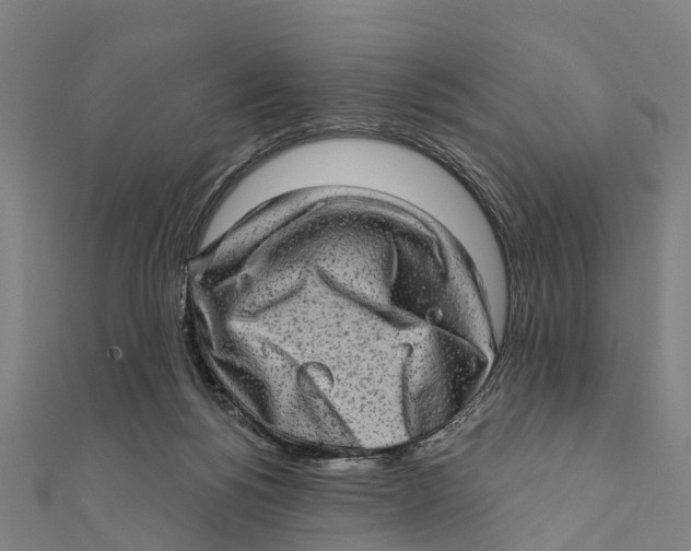 X0000111580168200908131326