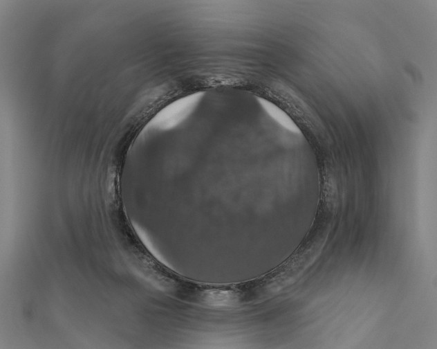 X0000111580169200908131326