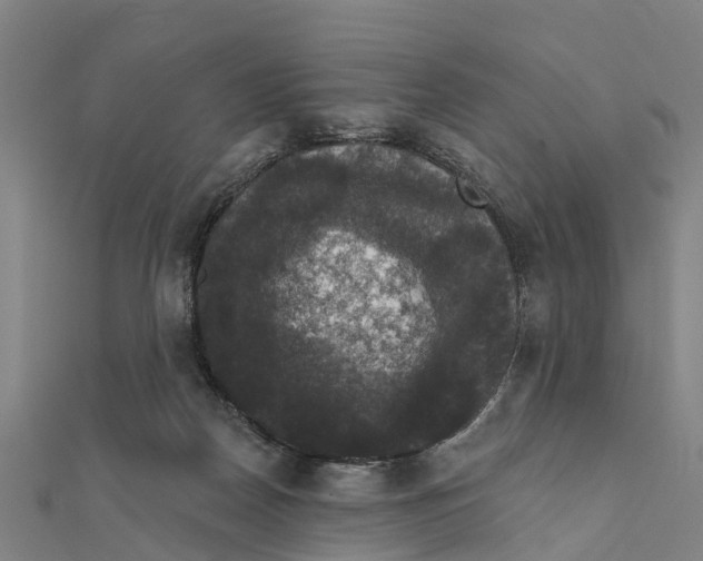 X0000111580170200908131326