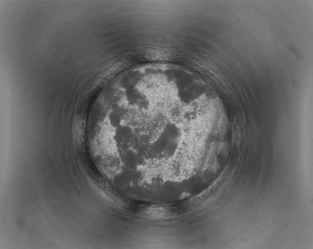 X0000111580171200908131326