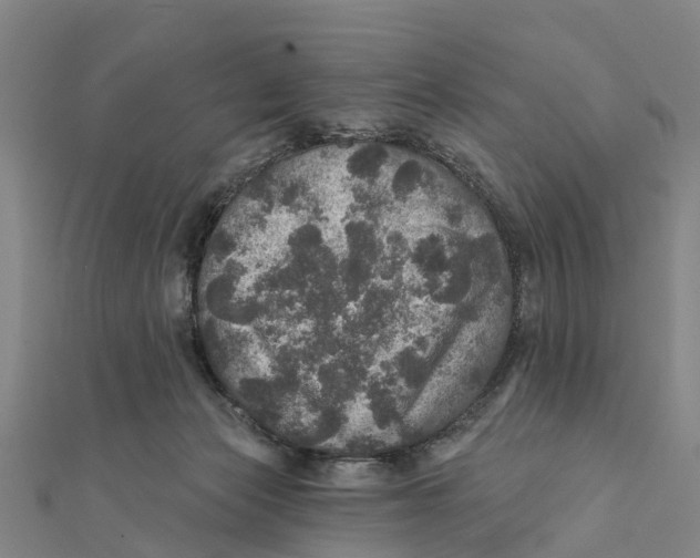 X0000111580173200908131326