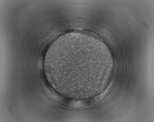 X0000111580174200908131326