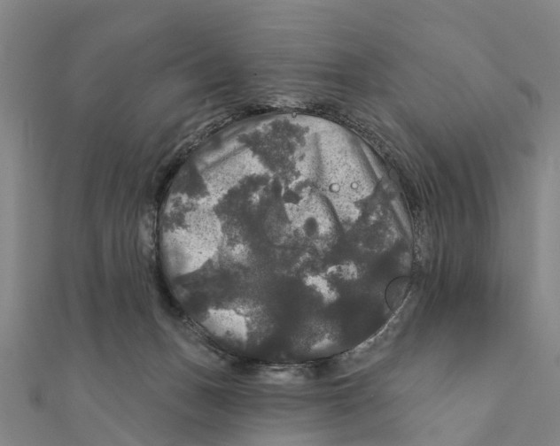 X0000111580175200908131326