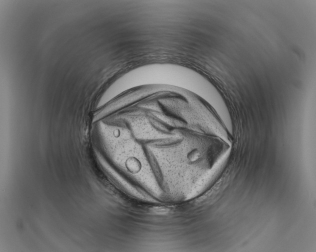 X0000111580176200908131326