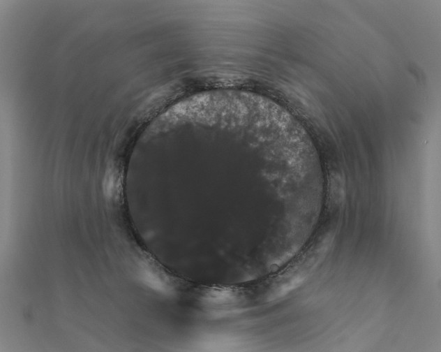 X0000111580177200908131326