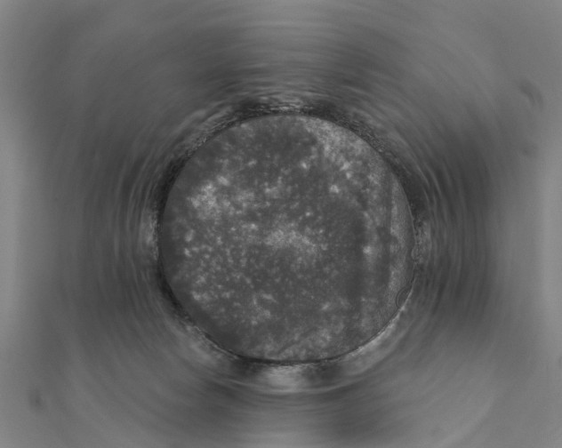 X0000111580178200908131326