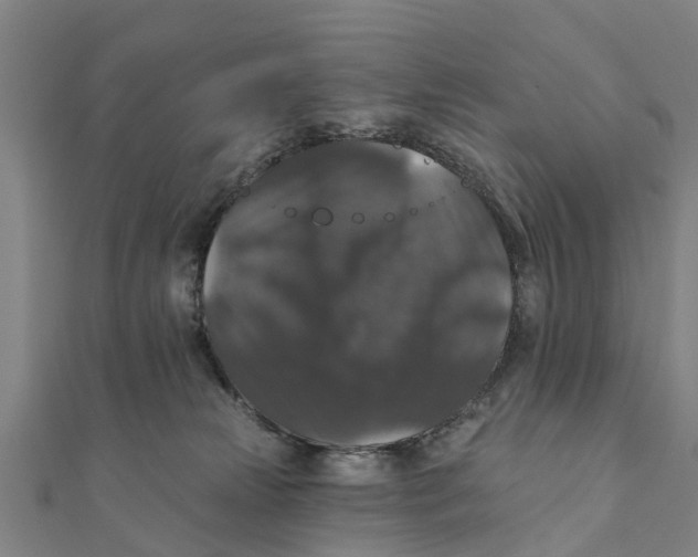 X0000111580181200908131326