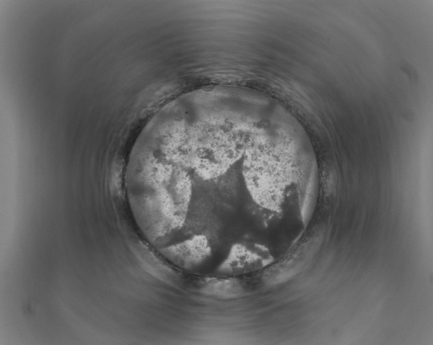 X0000111580185200908131327